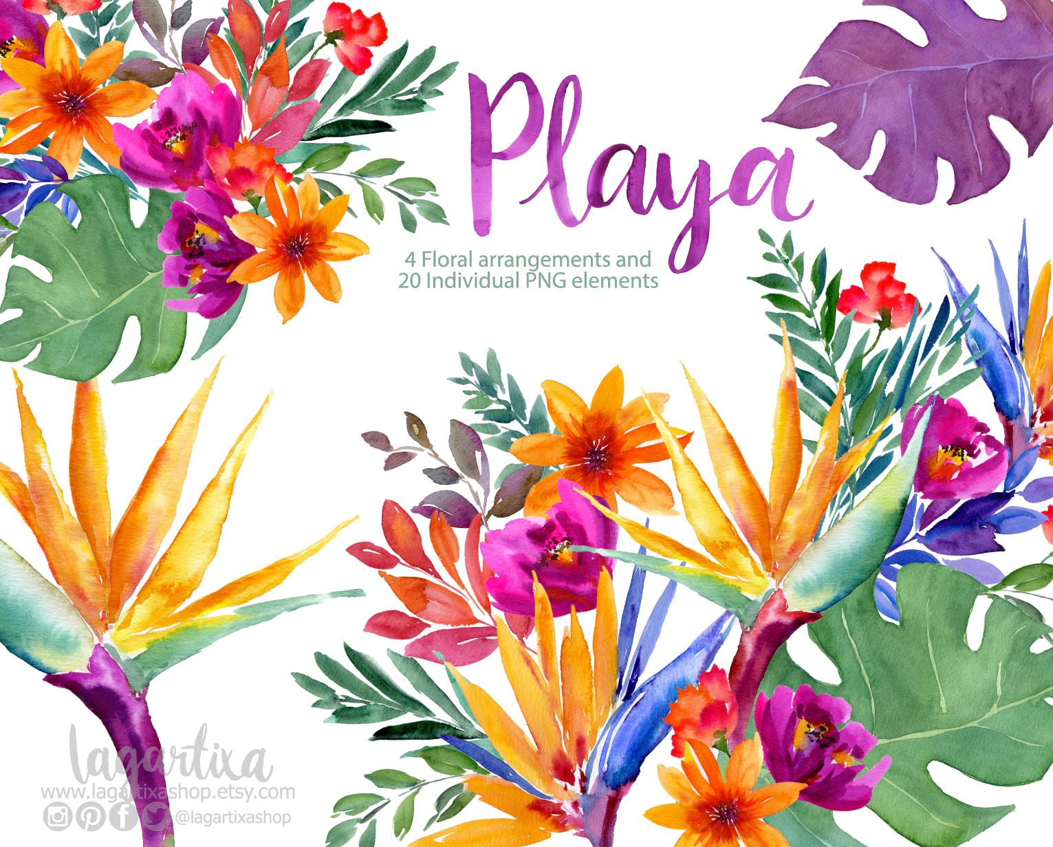Tropical Caribbean Flowers, Watercolor Hand painted Florals Plumerias,  Vivid colors, Event Decor, clipart, PNG
